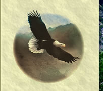 Alan Strachan Logo of Eagle flying