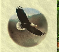 Alan Strachan eagle logo