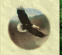 Alan Strachan eagle logo