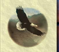 Alan Strachan eagle logo
