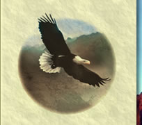 Alan Strachan, Ph. D. Eagle logo