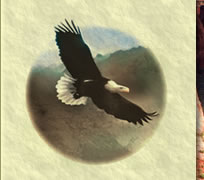 Alan Strachan, Ph. D, Eagle logo